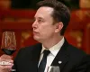 Elon Musk diz: 'Vamos aproveitar o passeio' enquanto crescem preocupa��es com a IA