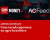 Japoneses investem pesado no agro brasileiro