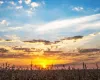 O fim da terra f�cil: Brasil pode parar de expandir �reas agr�colas