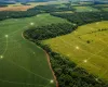 Caf� brasileiro adota rastreamento para conquistar mercado externo