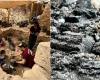 Descoberta em Jerusal�m revela madeiras queimadas do Templo de Salom�o