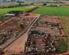 Pneumonia bovina: doen�a reduz ganho de peso e causa preju�zos no confinamento; saiba como prevenir