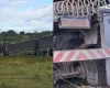 Pol�cia recupera caminh�o roubado e salva motorista feito ref�m em S�o Gon�alo dos Campos