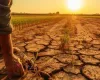 Governo autoriza corte de juros para d�vidas de produtores rurais