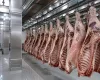 Brasil abate mais bois e porcos, mas menos frangos no 2� trimestre