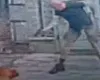 Homem mata cachorro a tiros na Tijuca