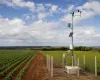 Produtores de Mato Grosso ganham novo sistema do Inmet para planejar a lavoura