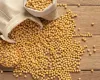 Soja cresce 5,3% e ajuda agro brasileiro a avan�ar 6,8% em um ano