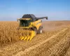 Colheita do milho de segunda safra atinge 98% no Brasil