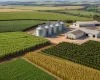 Produ��o agro do Brasil bate recorde de R$ 1,4 trilh�o em agosto
