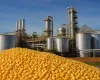 Senado dos EUA aprova projeto que libera etanol na gasolina e mexe com a agricultura