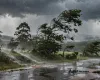 Chuva forte e ventos atingem todo o estado de S�o Paulo neste domingo
