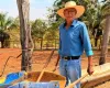 Homem de 81 anos emociona ao tratar bois de carro�a em fazenda de Rond�nia