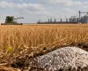 Pre�o dos alimentos sobe no mundo e Brasil exporta mais, mas custo de adubo afasta lucro do produtor