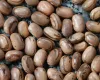 Feij�o brasileiro pode valer mais se contar a hist�ria da sua origem e do campo