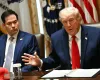 Senadores dos EUA exigem que Trump respeite o resultado das elei��es no Brasil