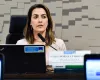 Justi�a condena senadora Soraya Thronicke a pagar R$ 50 mil por falsa acusa��o de estupro