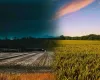 Semana ter� chuva de 100 mil�metros e calor de 40�C: veja as regi�es afetadas