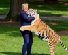 Trump postou v�deo falso de lute com le�o-tigre e fam�lia da v�tima se indignou