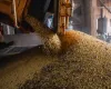 Produ��o de gr�os do Brasil deve crescer apesar das chuvas do El Ni�o