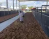 Expoagro 2026: Equipe t�cnica desinfeta parque para garantir seguran�a dos animais