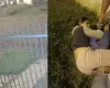 Menina de 14 anos imobiliza ladr�o com golpe de jiu-jitsu por 15 minutos ap�s invas�o da casa