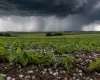 Chuva forte volta com tudo no Sul e Norte do Brasil nesta quarta-feira