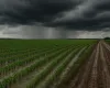 Chuva intensa amea�a lavouras e estradas em Santa Catarina e outros estados