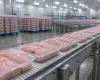 Pilgrim's Pride v� lucro despencar 65,7% em 2026 devido ao excesso de frango no mercado
