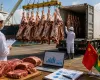Exporta��es de carne bovina do Brasil batem recorde em abril, mas avan�o da quota chinesa gera alerta no setor