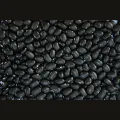 703440