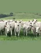 654224