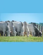 658553