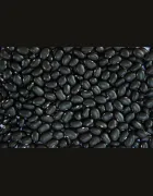 703440