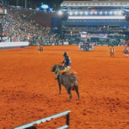 Mato-grossense  campeo da PBR, fatura R$ 100 mil e caminhonete em Barretos