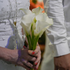 Casamento de Anita e Wendell