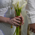 Casamento de Anita e Wendell