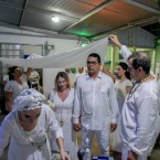 Casamento de Anita e Wendell