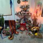 Dia de Santa Sara Kali