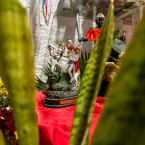 Aniversrio do Centro Esprita So Francisco de Assis e Santa Sara Kali