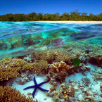  hora de relaxar: Resort em Ilha Privada na Grande Barreira de Corais Australiana  opo perfeita de descanso e conforto