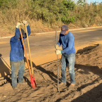 No Dia do Meio Ambiente, Prefeitura inicia plantio de ips em avenida de Barra do Garas