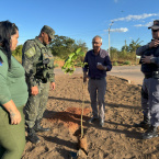 No Dia do Meio Ambiente, Prefeitura inicia plantio de ips em avenida de Barra do Garas