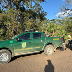 No Dia do Meio Ambiente, Prefeitura inicia plantio de ips em avenida de Barra do Garas