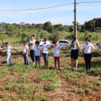 Prefeitura de Barra do Garas recebe sete mil mudas de rvores do Poder Judicirio de MT