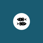 Horscopo do dia: previso para os 12 signos em 05/05/2025