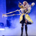 Show de Lady Gaga mobilizou uma das maiores operaes no Rio