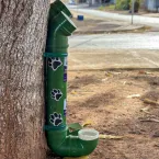 Prefeitura instala comedouros e bebedouros para incentivar cuidado com animais de rua em Barra do Gar�as