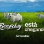 Forrageiras no BeefDay: tecnologia para aumentar a produtividade na pecuária