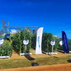 Sorgo inovador protege solo na reforma de canaviais